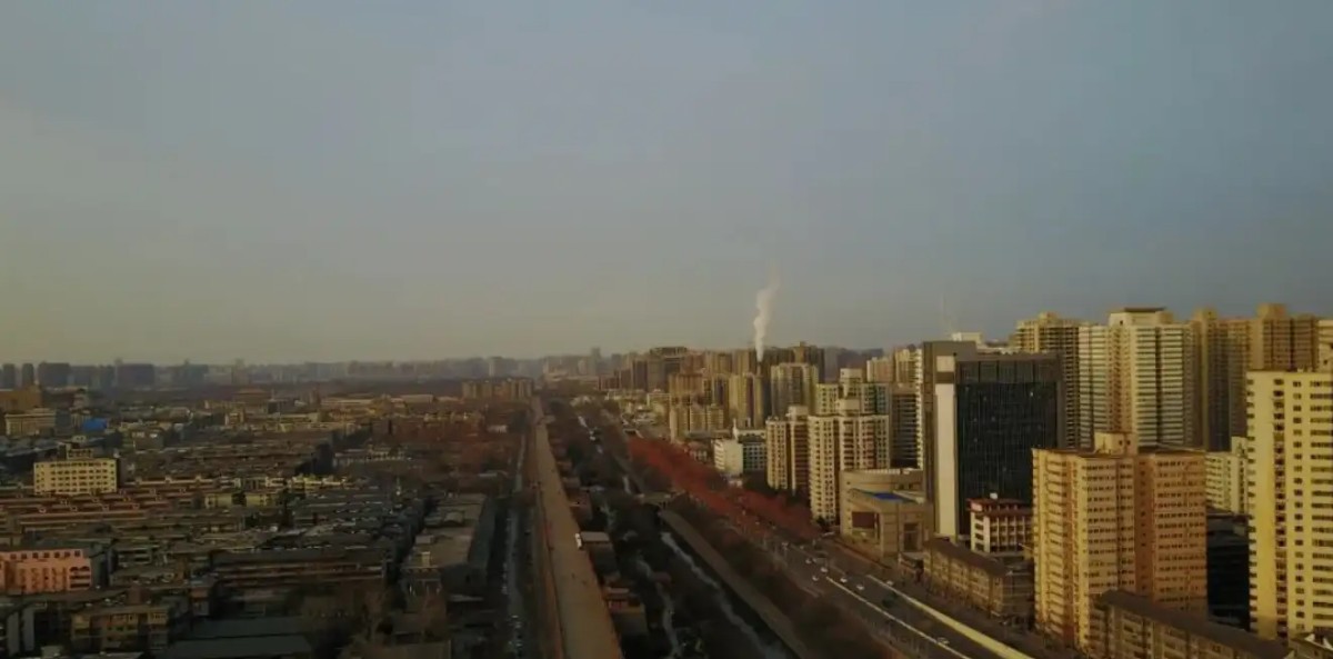 一个赌狗的内心独白